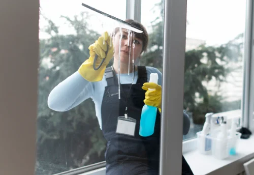 Nettoyage de vitres intérieures et extérieures à Bouhy